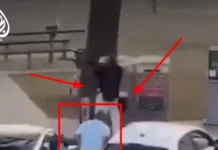 Mutiger Muslim stoppt Hanukkah-Terror am Bondi Beach Sydney Ahmed Al-Ahmad stoppt Hanukkah-Angreifer am Bondi Beach Sydney