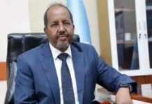 Somalia beendet alle Abkommen mit den Vereinigten Arabischen Emiraten Somalia beendet alle bilateralen Vereinbarungen mit den VAE